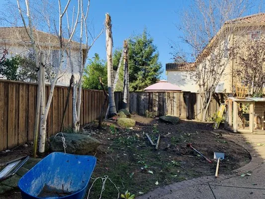 New Lawn Care & Landscape