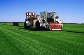 Custom landscaping services experts serving Belleville, MI - New Lawn Sod Farm