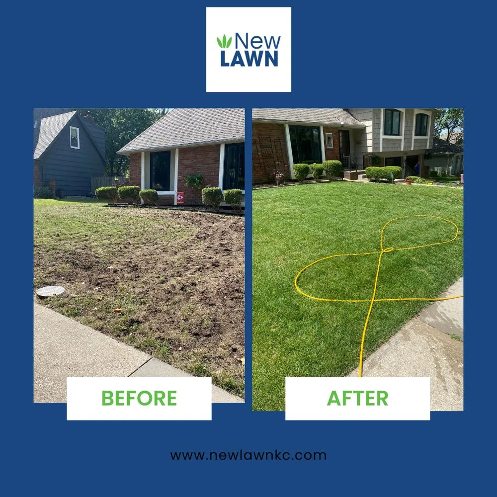 Reliable landscape design experts serving Spring Hill, KS - New Lawn