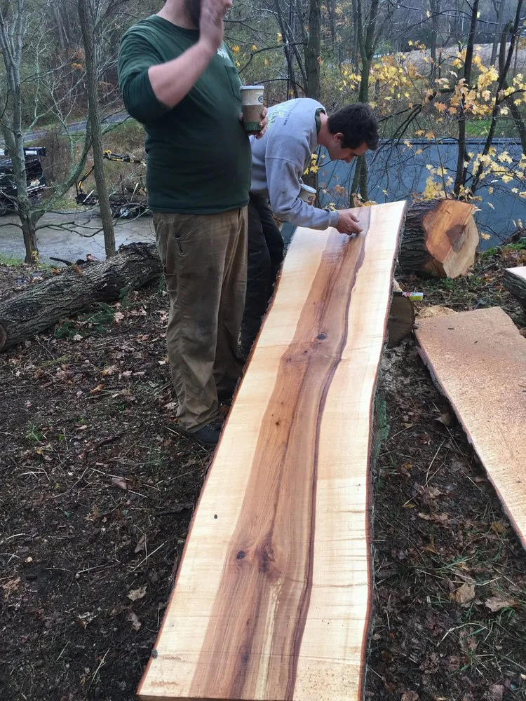 Trusted lawn care service for homes across Nassau, NY - New Leaf Building Company