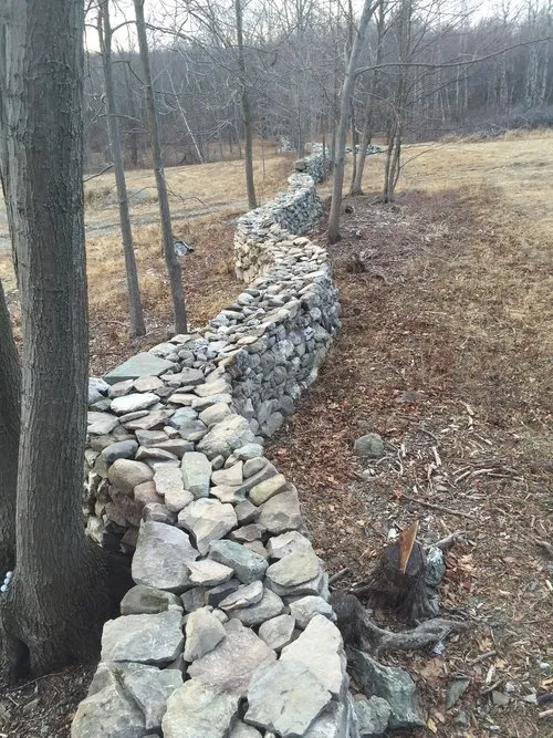 Top-rated residential landscaping for year-round maintenance in Nassau, NY by New Leaf Building Company