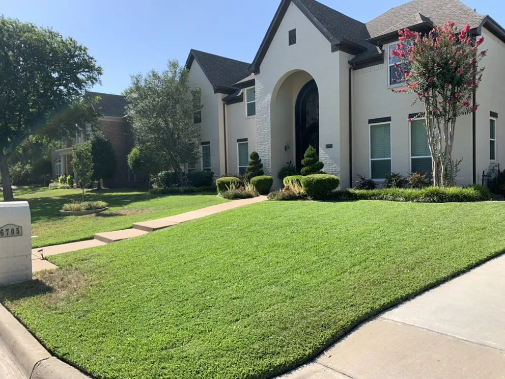 Professional yard maintenance in Fort Worth, TX - New Leaf Exteriors
