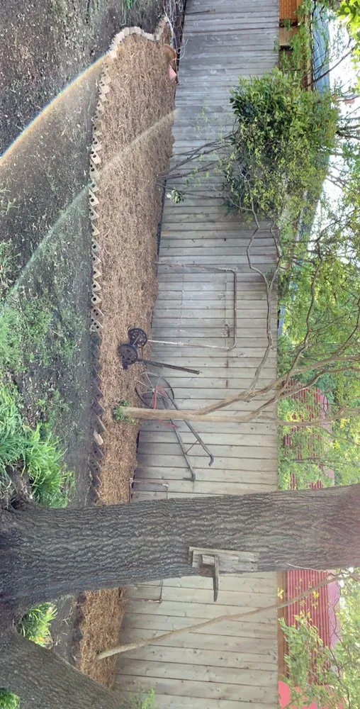 Trusted yard cleanup service experts serving Fort Worth, TX - New Leaf Exteriors