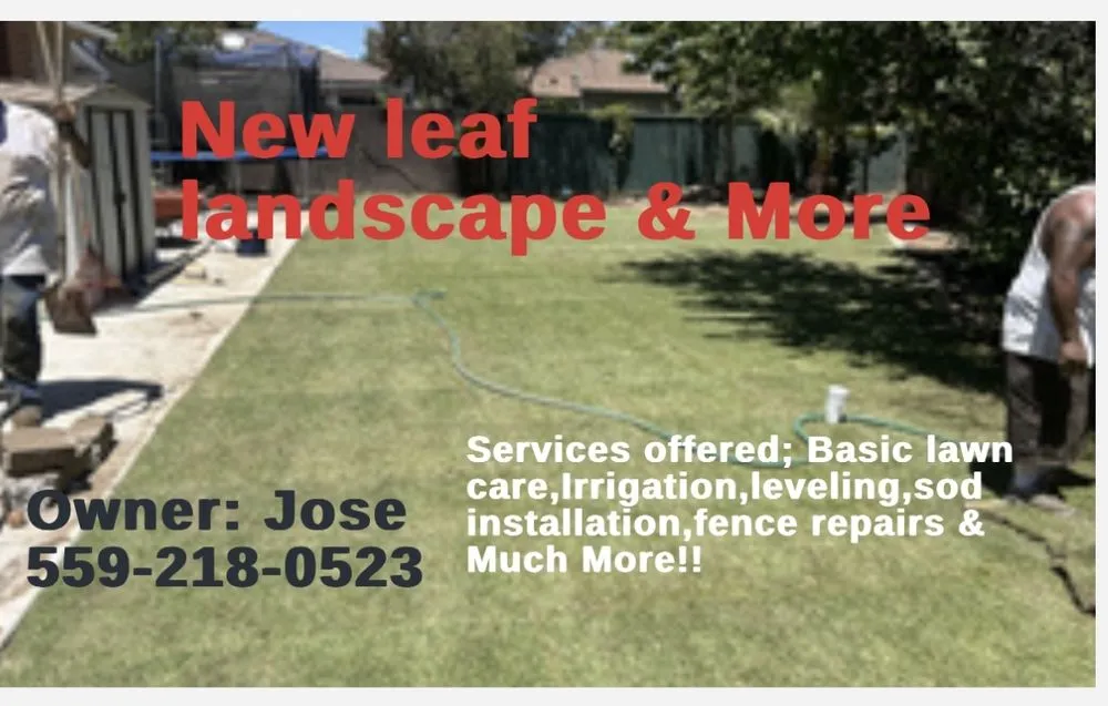 Professional residential landscaping experts serving Fresno, CA - New Leaf Landscape and More