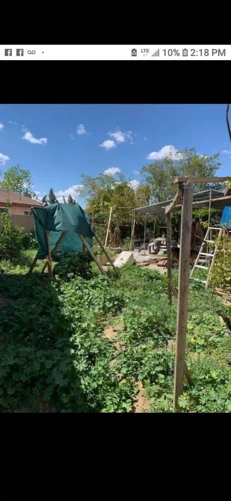 Top-rated yard cleanup service for residential properties across Fresno, CA - New Leaf Landscape and More