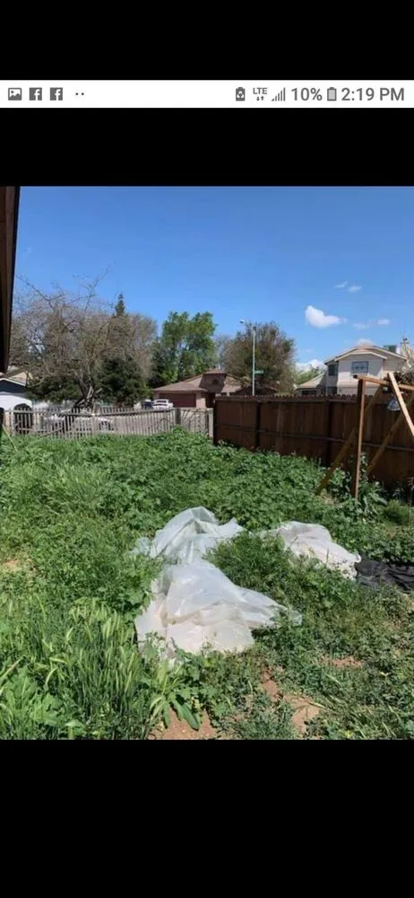 Custom yard maintenance in Fresno, CA - New Leaf Landscape and More