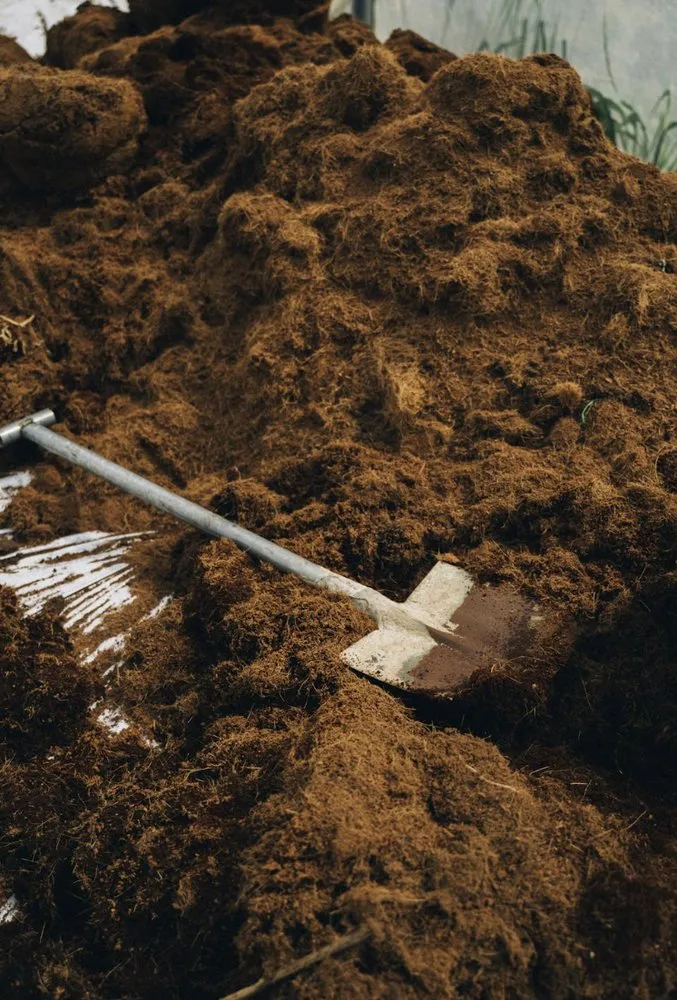 Local landscape installation for homes across East Palo Alto, CA - New Leaf Landscape