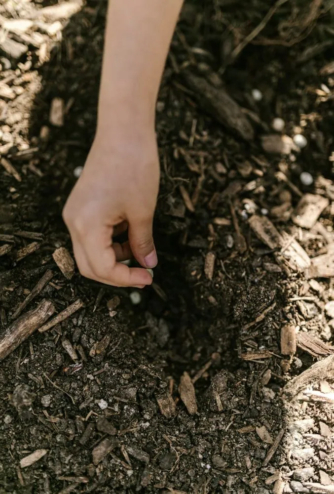 Local lawn mowing service in East Palo Alto, CA by New Leaf Landscape