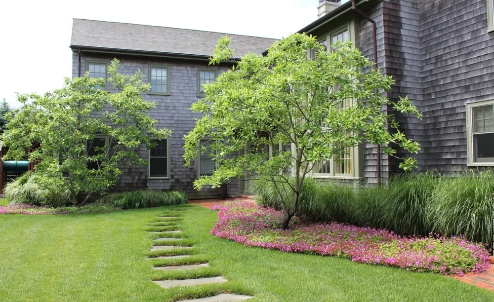 Top-rated yard maintenance for residential properties across Southampton, NY - New Leaf Landscape Maintenance