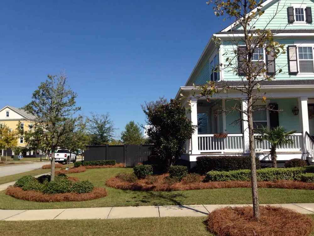 Reliable yard cleanup service for beautiful yards across Charleston, SC - New Leaf Landscape Management