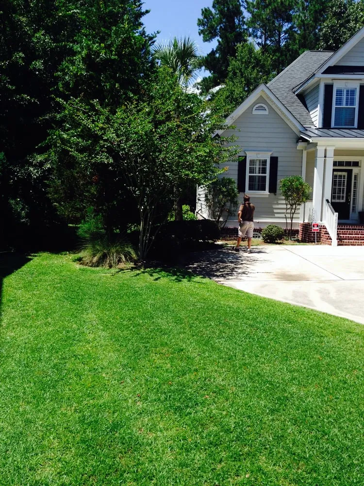 Custom landscaping services for homes across Charleston, SC - New Leaf Landscape Management