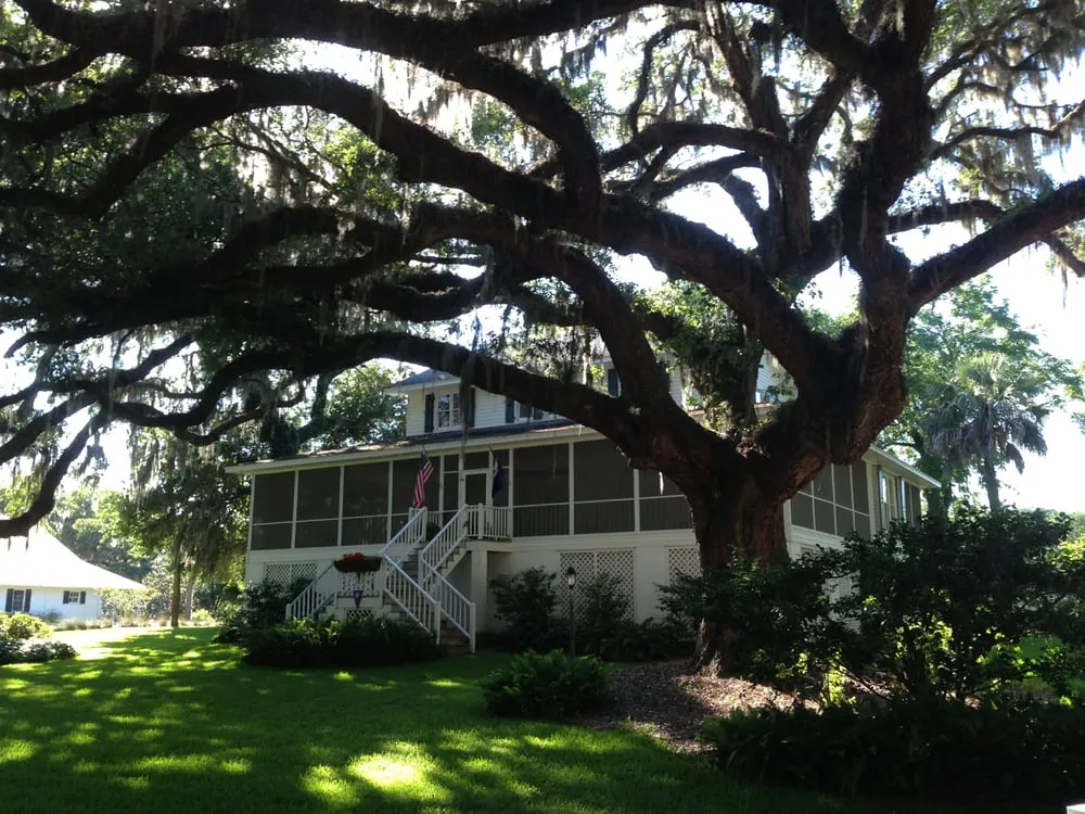 Local yard cleanup service experts serving Charleston, SC - New Leaf Landscape Management