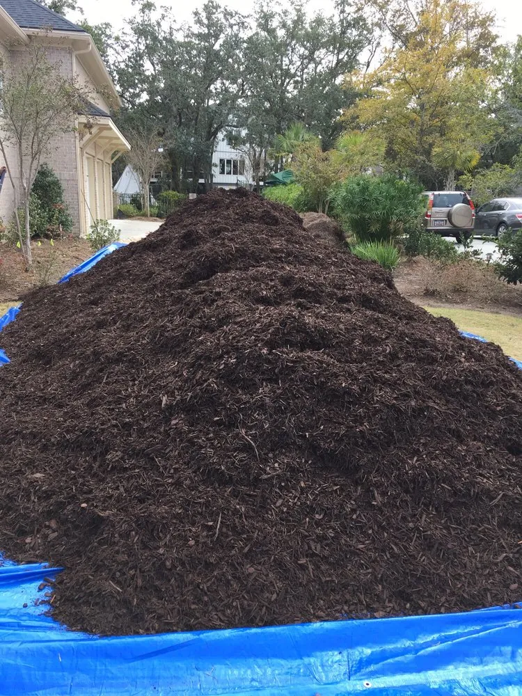 Affordable lawn mowing service experts serving Charleston, SC - New Leaf Landscape Management