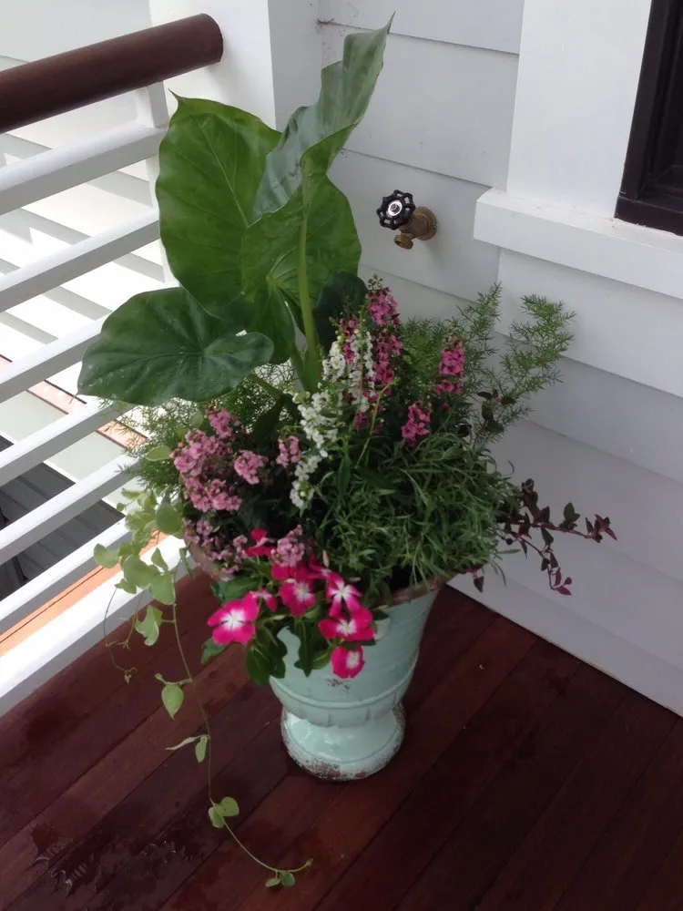 Trusted lawn mowing service in Charleston, SC by New Leaf Landscape Management