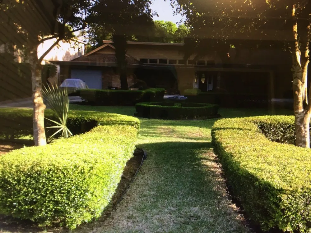 Professional yard cleanup service for beautiful yards across Charleston, SC - New Leaf Landscape Management