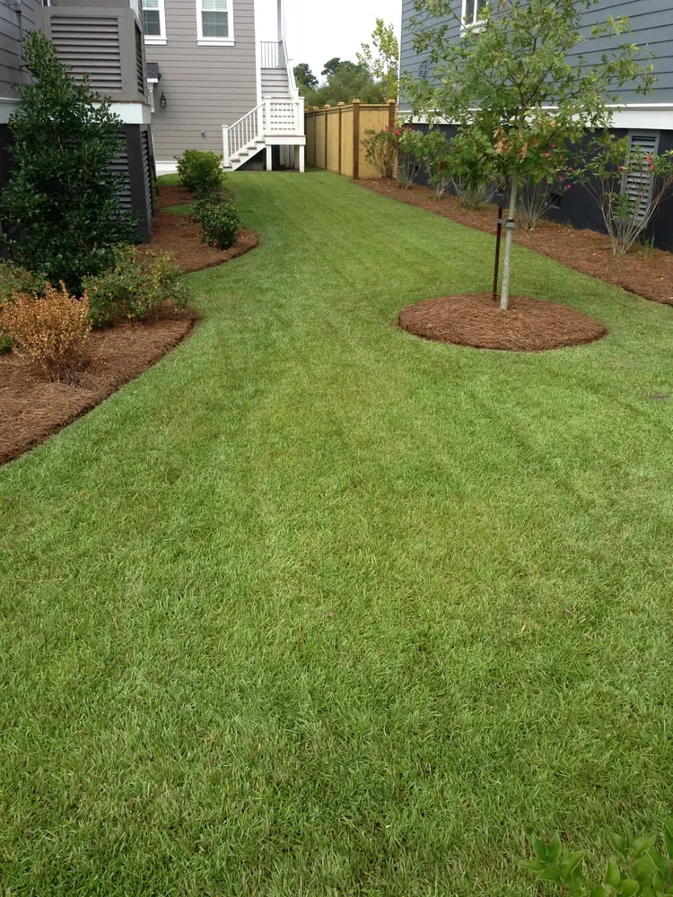 Local yard cleanup service near you in Charleston, SC by New Leaf Landscape Management