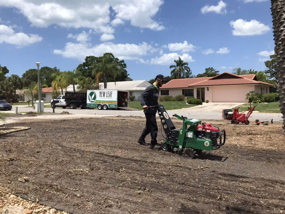 Professional lawn care service for outdoor upgrades across Sarasota, FL - New Leaf Landscape Management