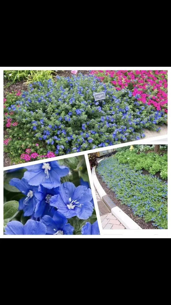 Expert landscape design for year-round maintenance across Sarasota, FL - New Leaf Landscape Management