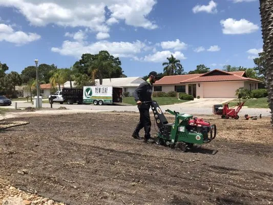 New Leaf Landscape Management Logo