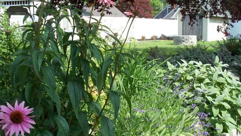 Reliable lawn care service experts serving Hightstown, NJ - New Leaf Landscapes