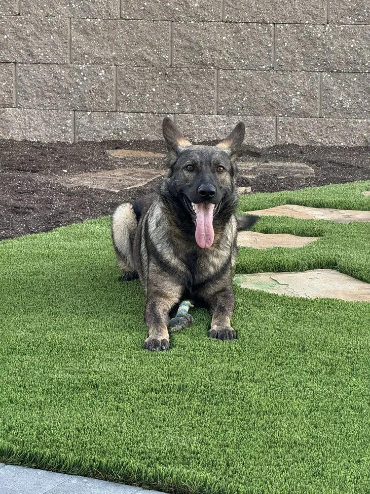 Professional lawn mowing service in Hollister, CA by New Leaf Landscapes