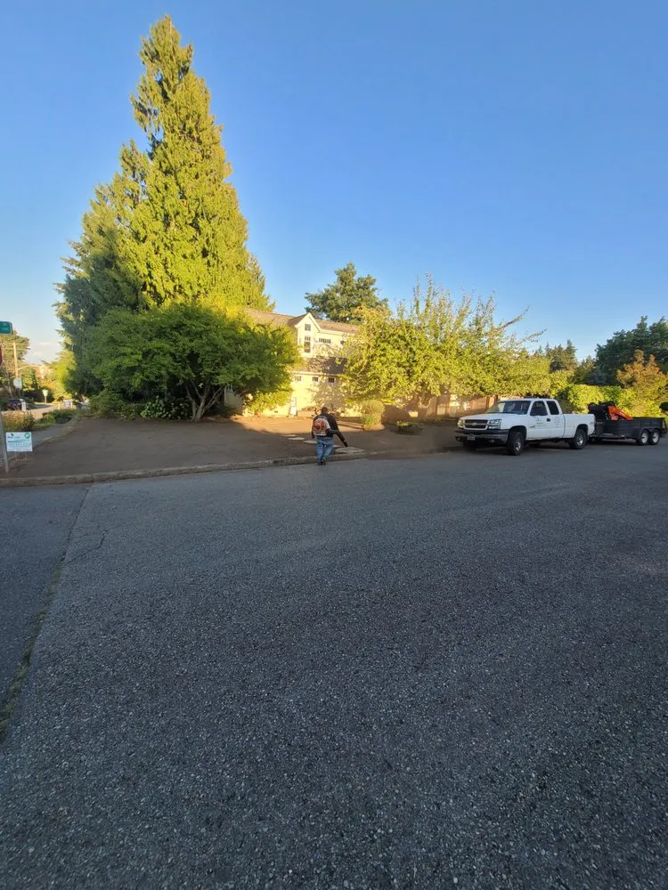 Top-rated lawn mowing service in Belfair, WA by New Leaf Landscaping