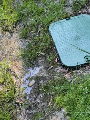 New Leaf Landscaping Logo