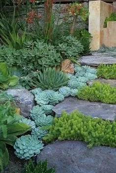 Affordable yard maintenance in Healdsburg, CA - New Leaf Landscaping