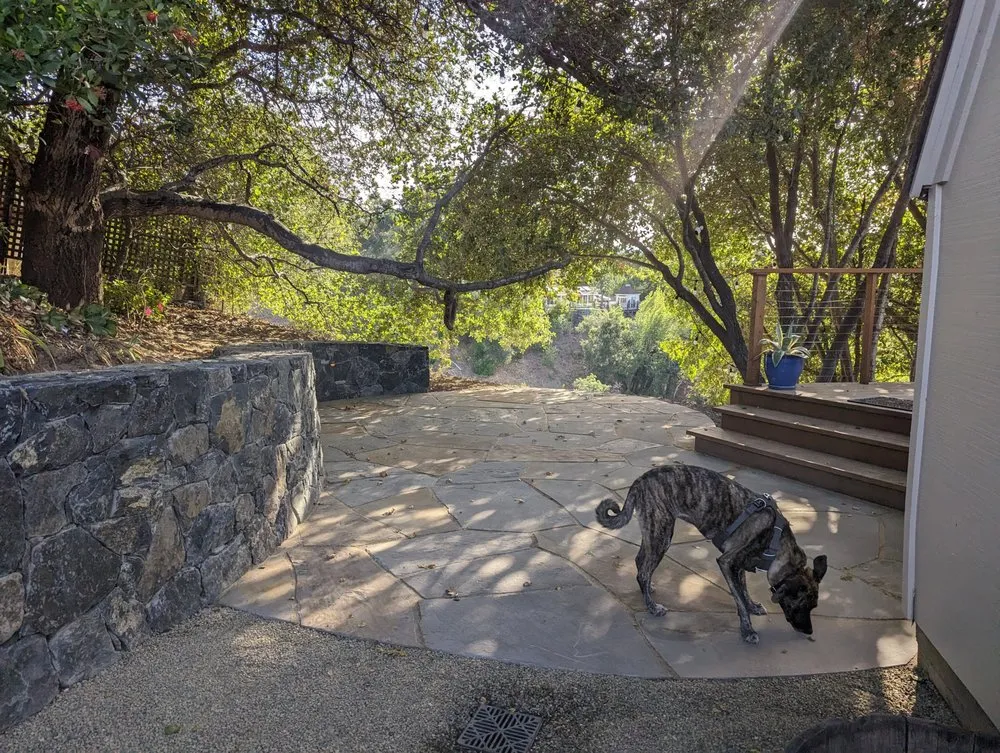 Professional yard cleanup service with custom design across Healdsburg, CA - New Leaf Landscaping