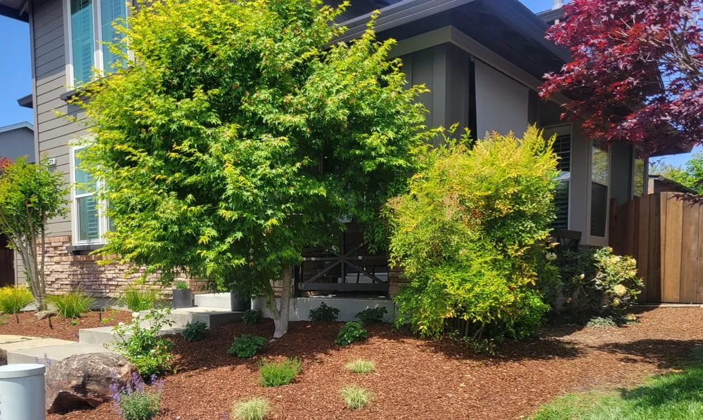 Trusted landscaping services for beautiful yards across Healdsburg, CA - New Leaf Landscaping