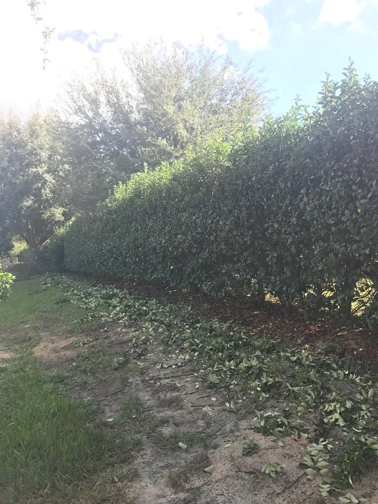 Affordable outdoor landscaping for year-round maintenance across Clermont, FL - New Leaf Lawn and Landscape