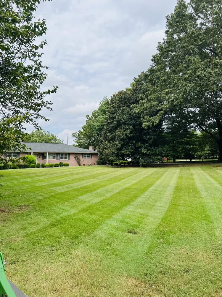 Reliable yard cleanup service for homes across Florence, AL - New Leaf Lawn Care and Landscaping