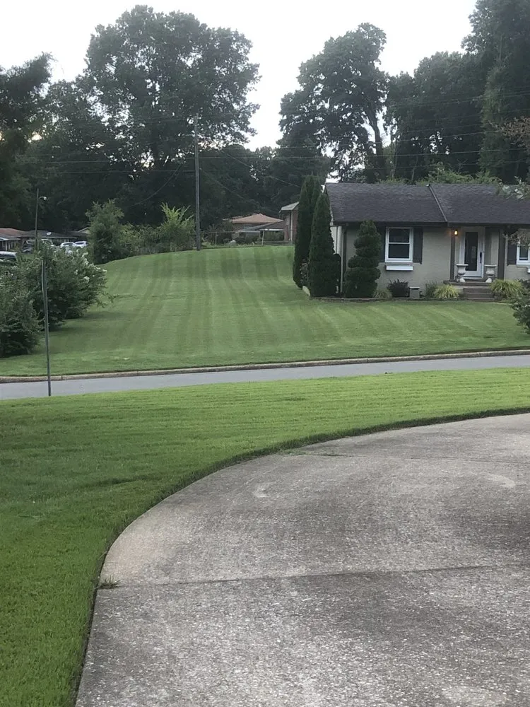 Custom lawn mowing service experts serving Florence, AL - New Leaf Lawn Care and Landscaping