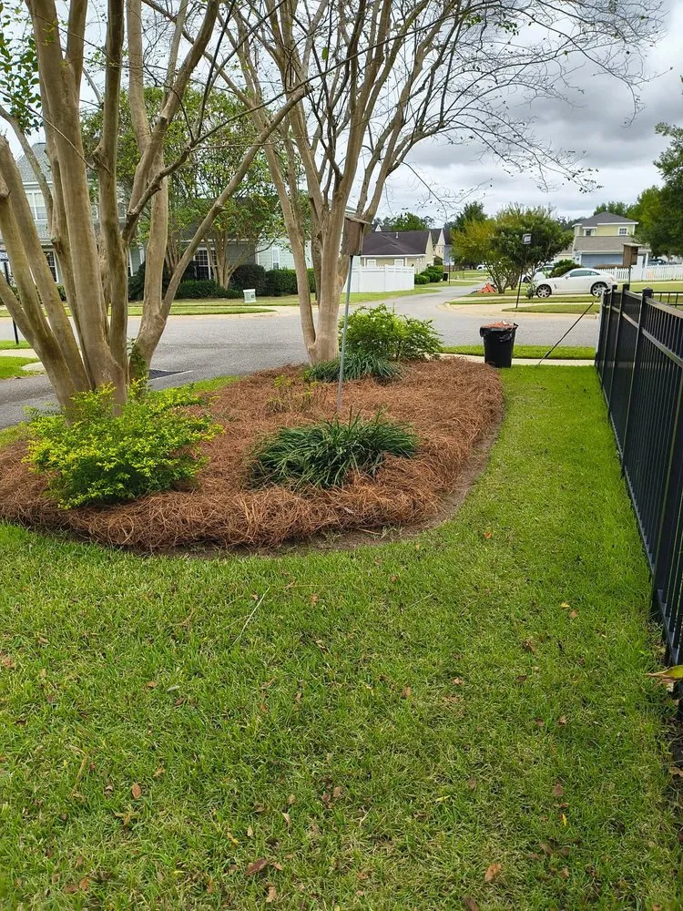 Expert yard maintenance for year-round maintenance across Cairo, GA - New Leaf Lawn Care