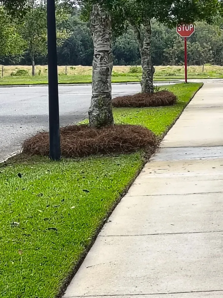 Reliable landscape installation in Cairo, GA by New Leaf Lawn Care