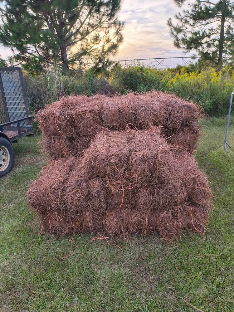 Affordable landscape installation in Cairo, GA by New Leaf Lawn Care