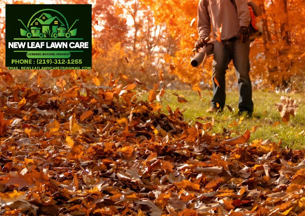 Custom yard maintenance in Gary, IN - New Leaf Lawn Care