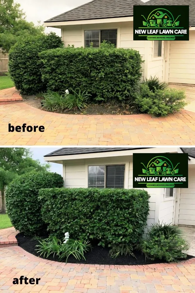 Top-rated landscaping services in Gary, IN by New Leaf Lawn Care