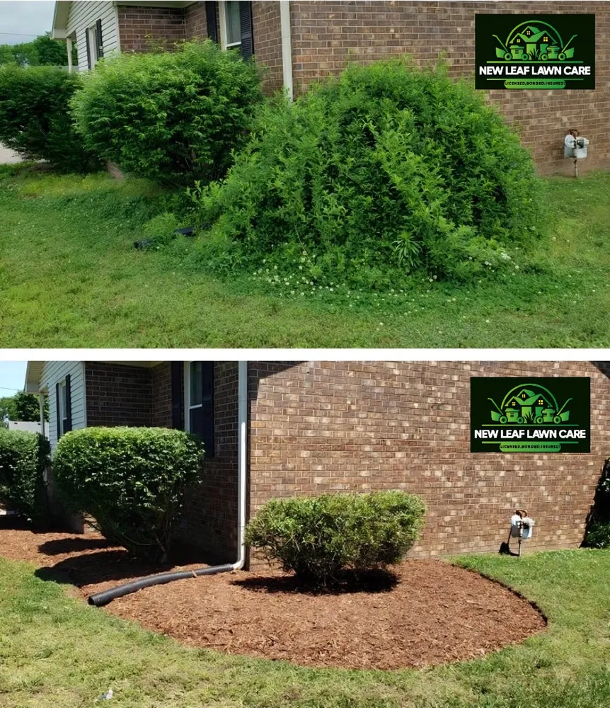 Custom outdoor landscaping in Gary, IN - New Leaf Lawn Care