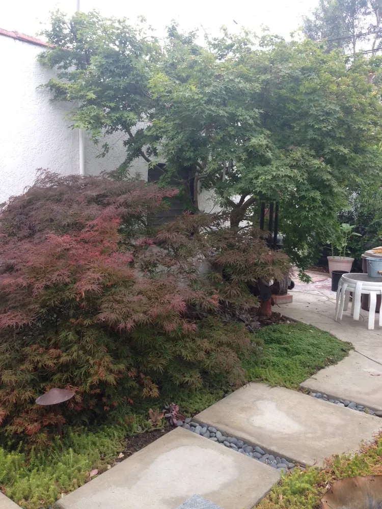 Reliable landscape installation in Long Beach, CA - New Leaf