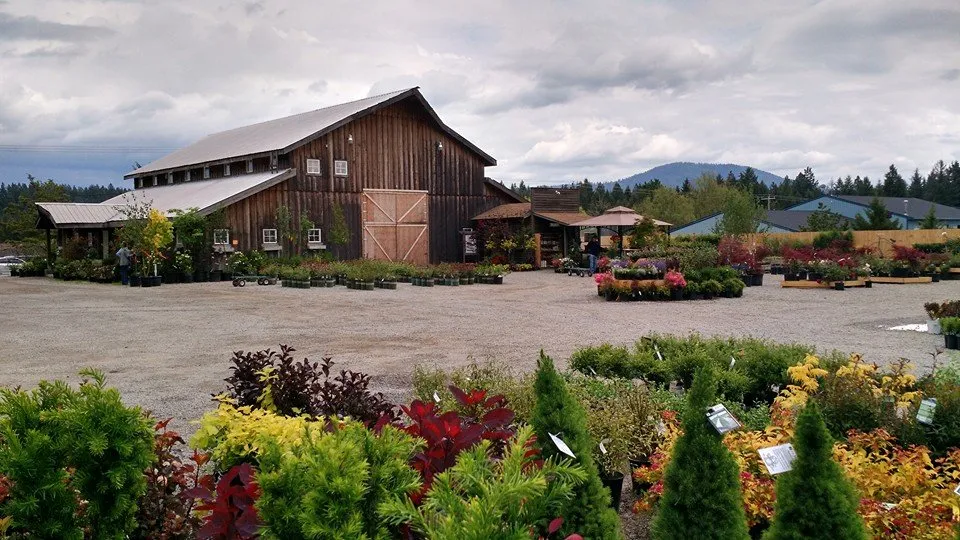 Reliable yard cleanup service near you in Hayden, ID by New Leaf Nursery