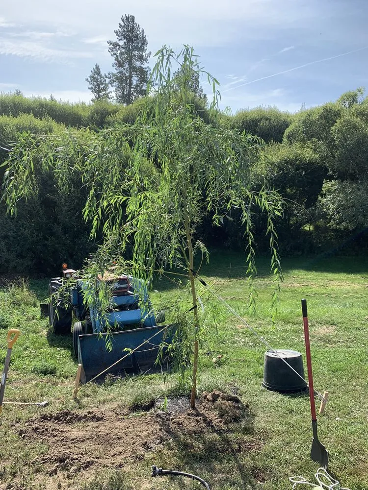 Local landscape design near you in Hayden, ID by New Leaf Nursery