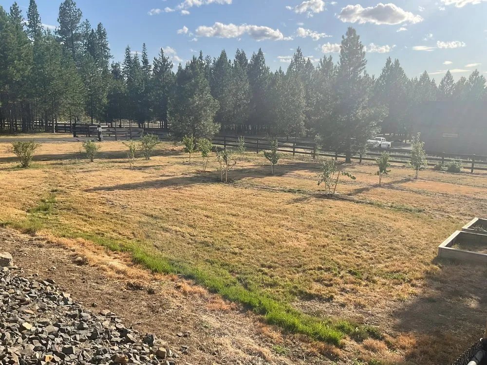 Reliable outdoor landscaping in Hayden, ID - New Leaf Nursery