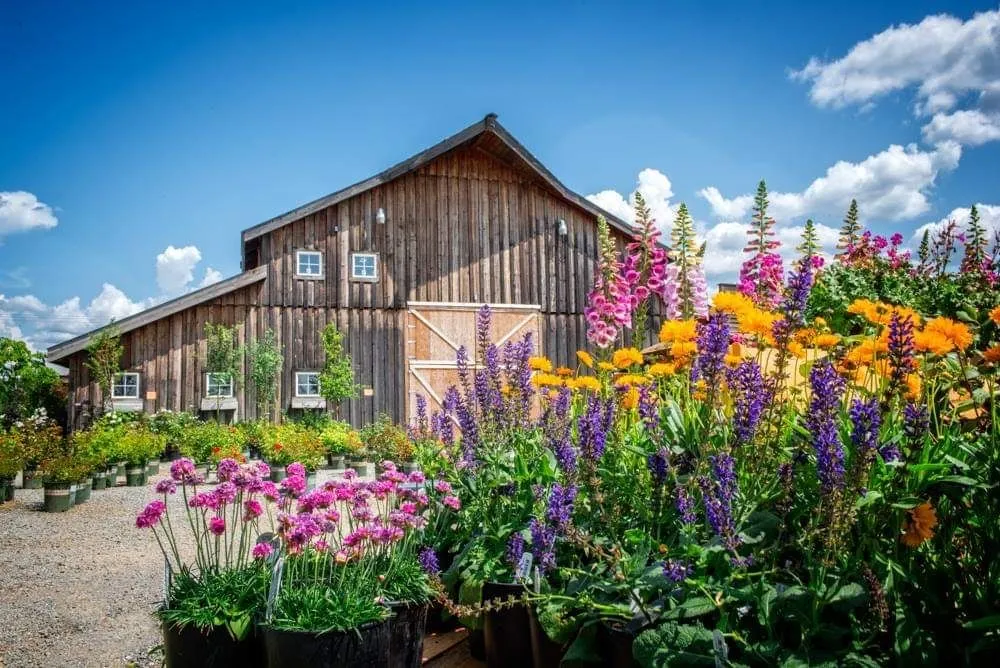 Expert residential landscaping in Hayden, ID by New Leaf Nursery