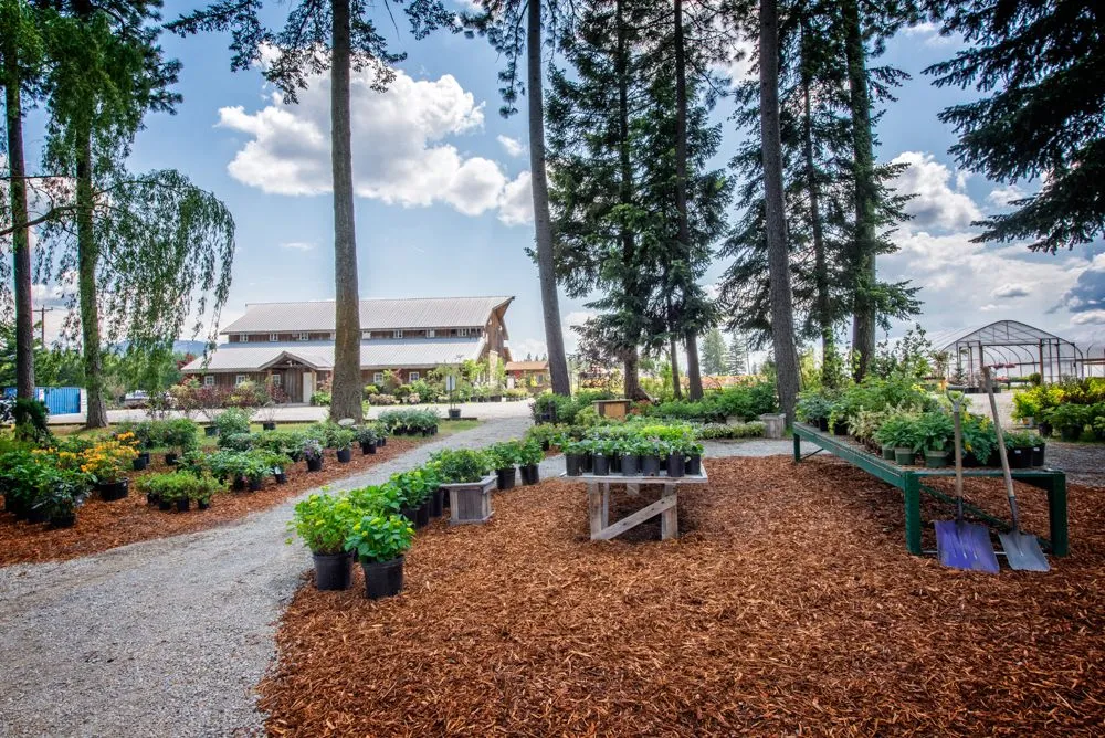 Top-rated landscaping services in Hayden, ID - New Leaf Nursery