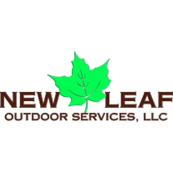 Expert lawn care service with custom design in South St Paul, MN by New Leaf Outdoor Services