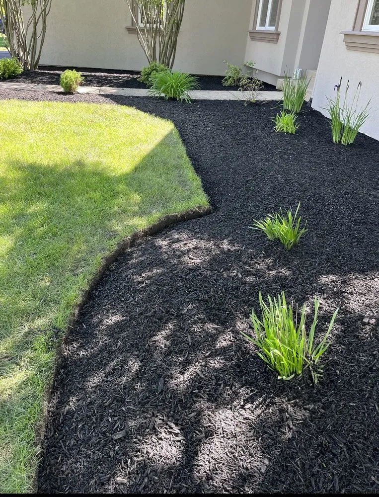 Trusted yard cleanup service experts serving Oswego, IL - New Leaf Services