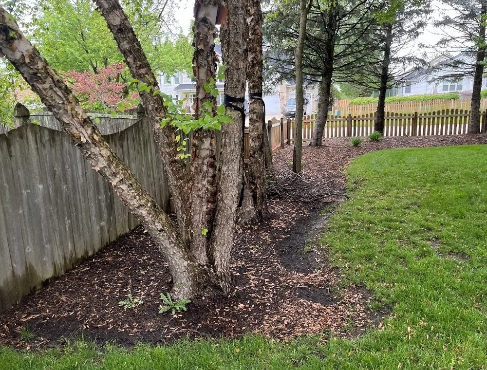 Reliable residential landscaping in Oswego, IL - New Leaf Services