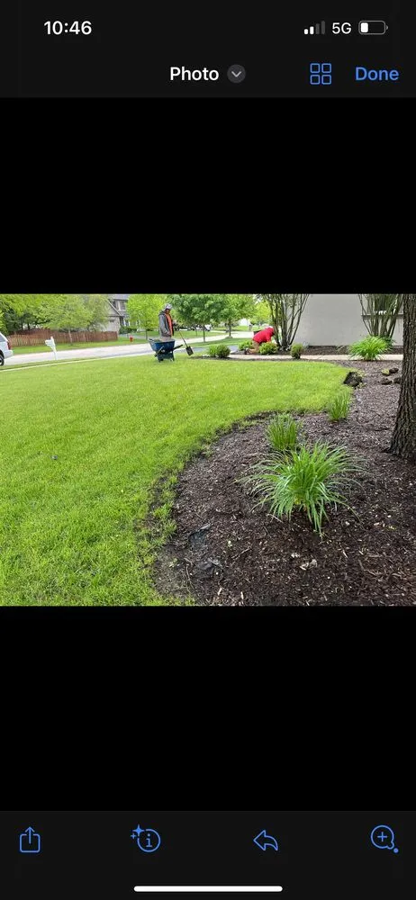 Local yard cleanup service experts serving Oswego, IL - New Leaf Services