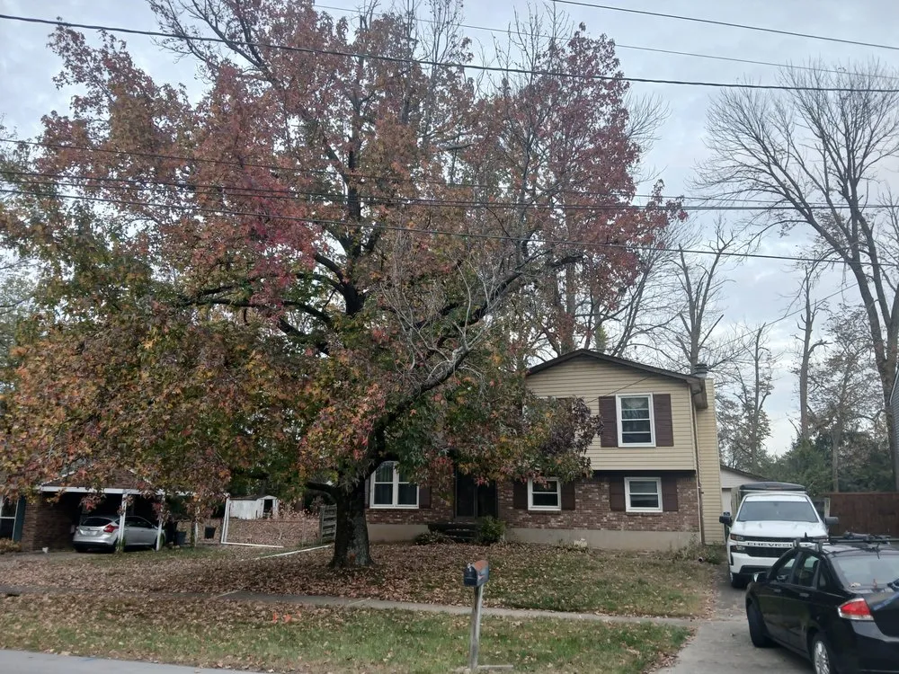 Local landscape installation in Louisville, KY - New Leaf Tree Service